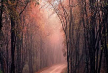 开云体育中国-卡尔蒂斯核心球员体能管理，世俱杯冲刺关键因素