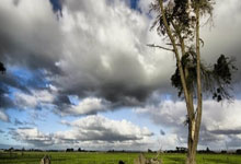 开云体育登录-古迪逊神话终结夜！莱斯特城利刃出鞘刺穿埃弗顿不败金身