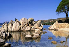 开云体育入口-0.3秒绝杀！江西队以毫厘之姿问鼎华东荣耀之巅