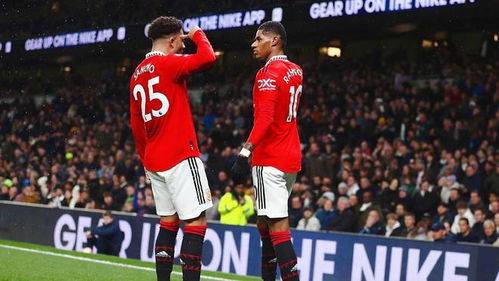 开云体育登录-纽卡斯尔客场战平水晶宫，客场保持不败的简单介绍