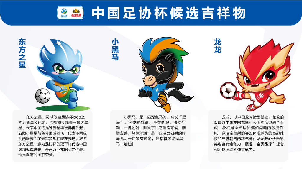 包含足球改革路线图：提升青训水平，打造强队的词条