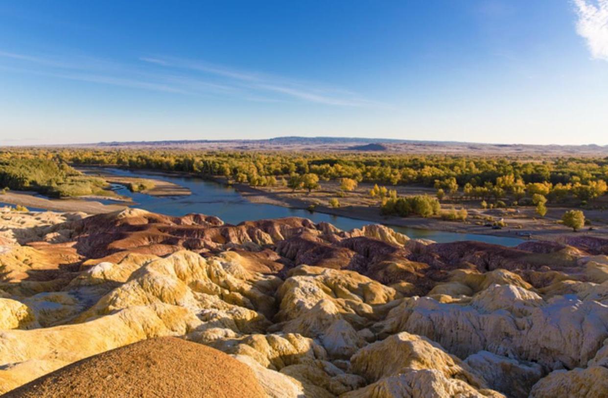 新疆飞虎队全面崛起，势不可挡的简单介绍