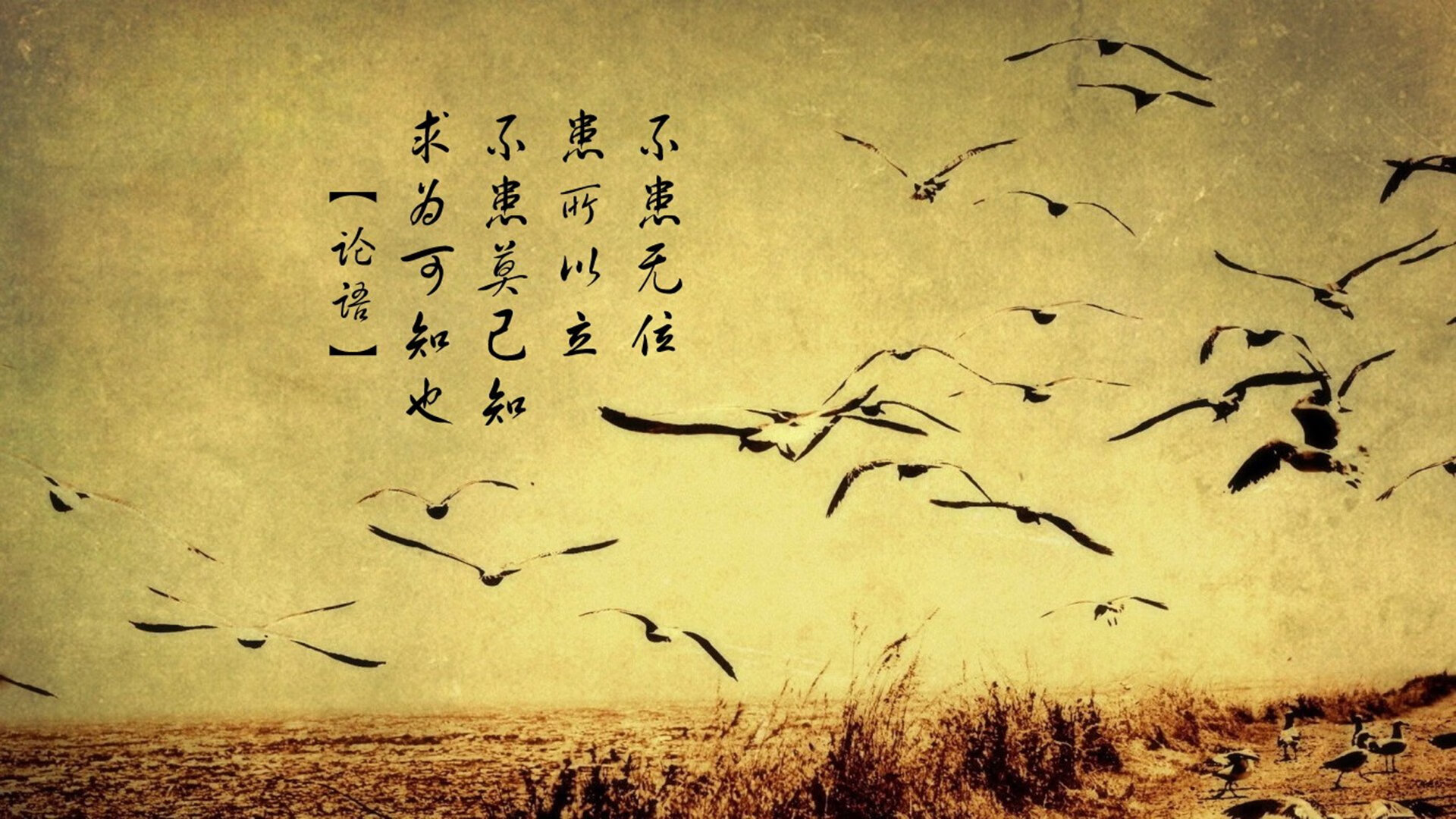 开云体育官网-开拓者收割老鹰，拉梅洛主宰比赛走向