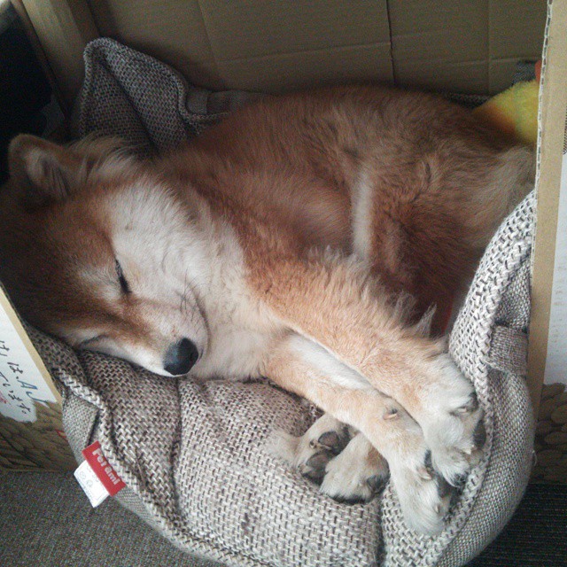 季后赛抢七焦点战，尼克斯完胜老鹰，麦迪逊花园见证王者归来