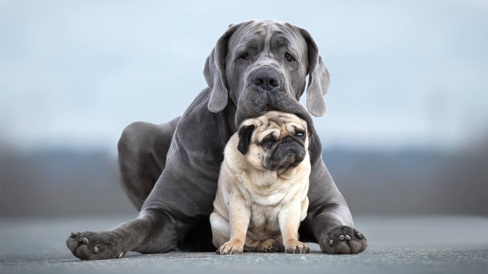冰火两重天！快船啃下太阳，那个被忽视的巨塔才是真正的胜负手