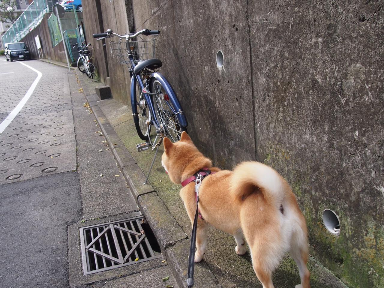 布克今夜,血色黎明湮没华盛顿