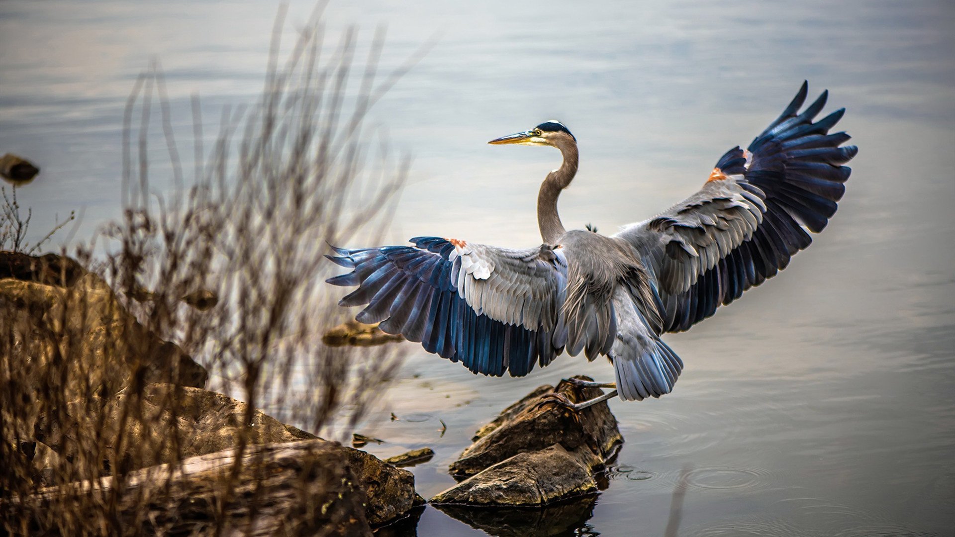 团队铁壁对个人神迹,广东的压制哲学与锡安的狂澜之力