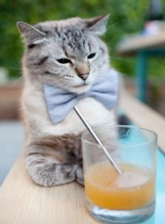 开云体育登录-定义边锋新高度！奥亚尔萨瓦尔爆炸数据揭开西班牙新进攻美学