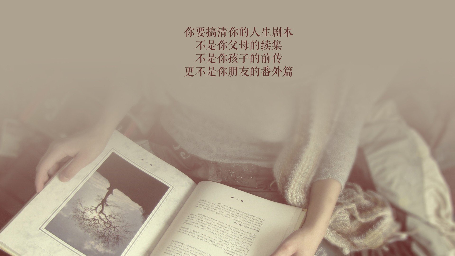 开云体育-北欧风暴席卷绿茵，丹麦压制哥斯达黎加，C罗闪耀全场引领2026世界杯F组强强对话